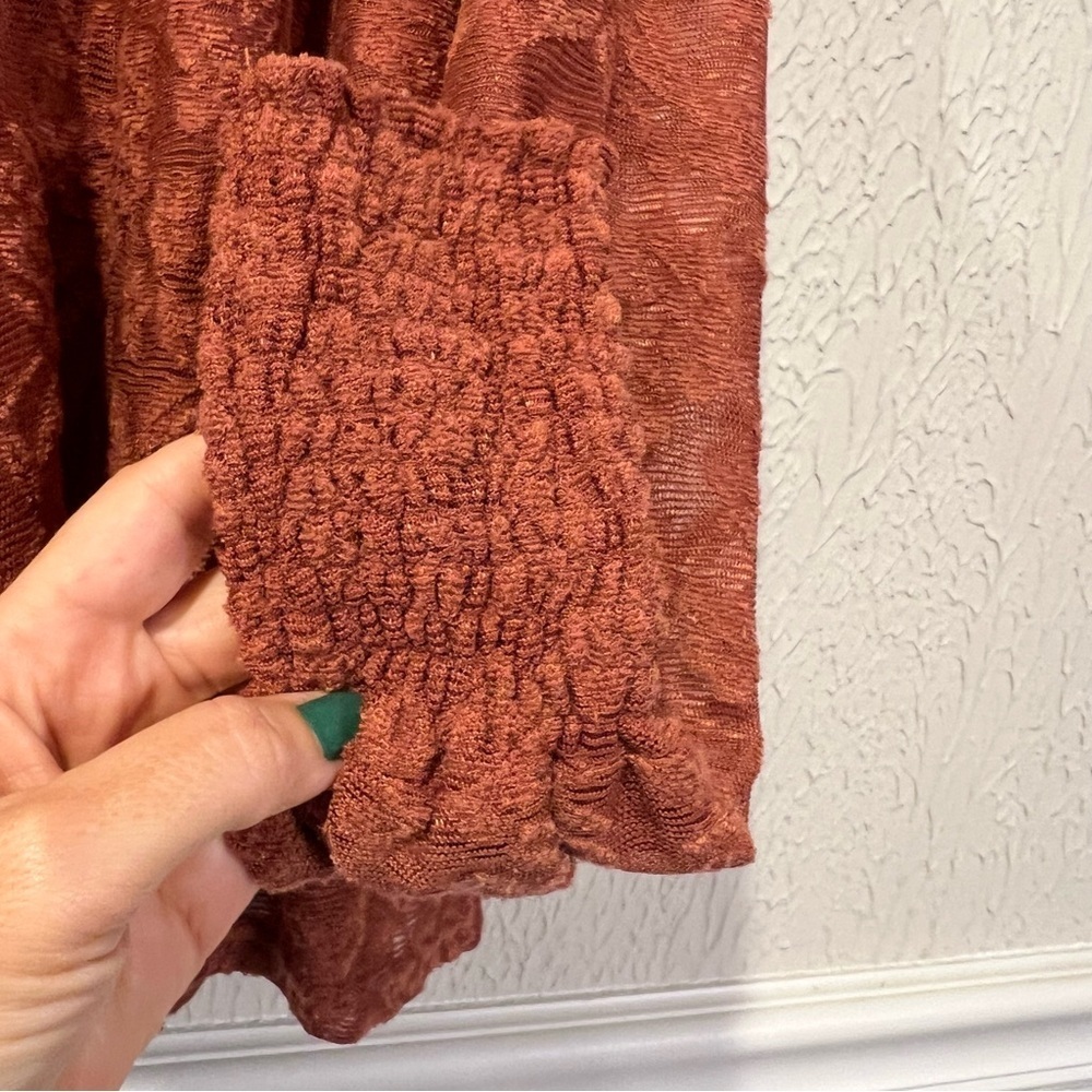 Deletta Anthropologie Rust Amana Burnout Sheer Smocked Mock Neck Top size small - Picture 7 of 13